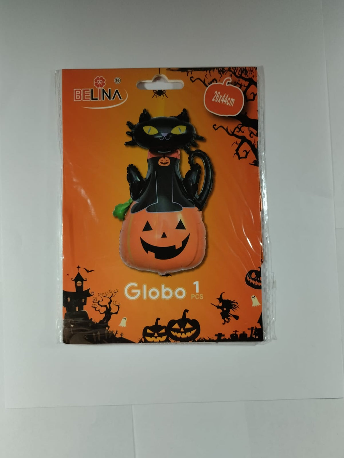 GATO SOBRE CALABAZA